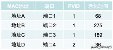 网络工程师vlan划分,网络工程师认证vlan
