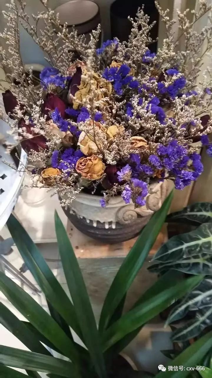 湖南省怀化市辰溪县招工信息,湖南怀化辰溪工作招聘