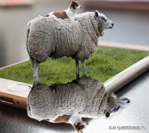 如何简单完整的做一张ps图,ps怎么制作图片详细步骤