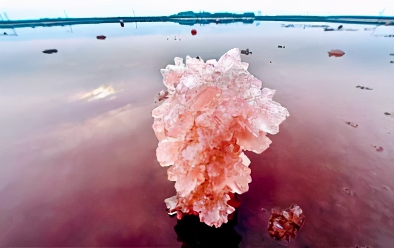 冬季的庭院景观,美丽如画的自然景观让人心旷神怡