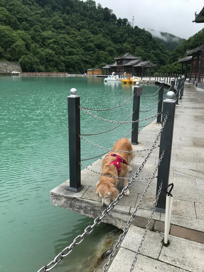 成都喇叭河自驾,自贡到喇叭河自驾