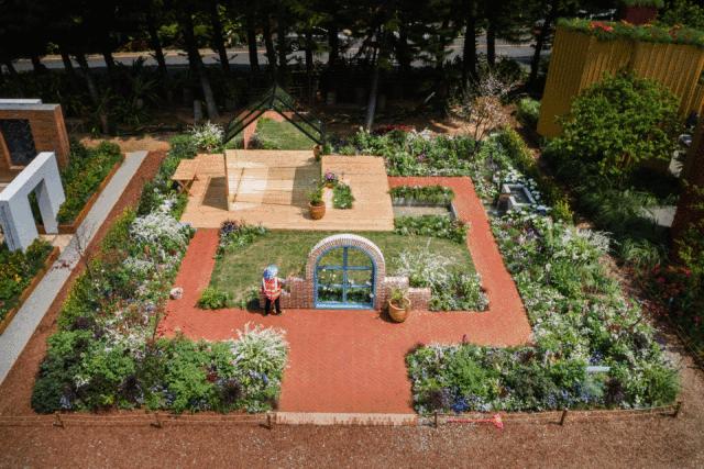 未来10天预警，深圳最最最最火的地方在这里，美女都赶来打卡