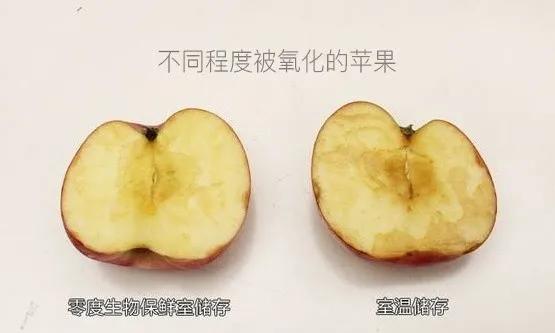 随着年龄增长的皱纹,抗氧化抗衰老提亮肤色