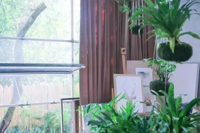 深山老林自建豪华木屋隐居生活,90后小情侣隐居深山建别墅仅花6万