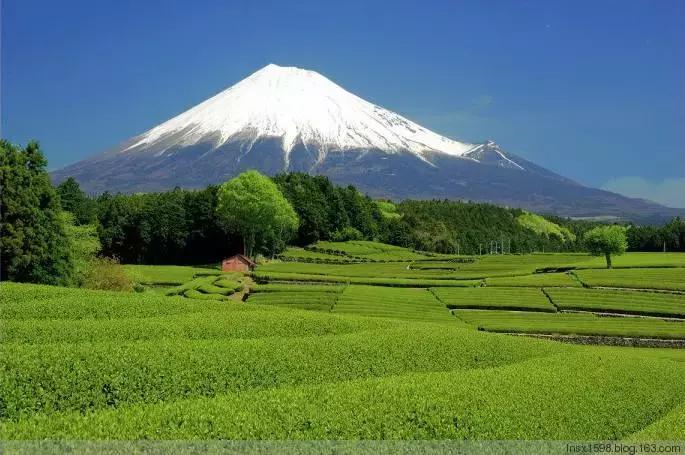 中日料理,中日用餐对比
