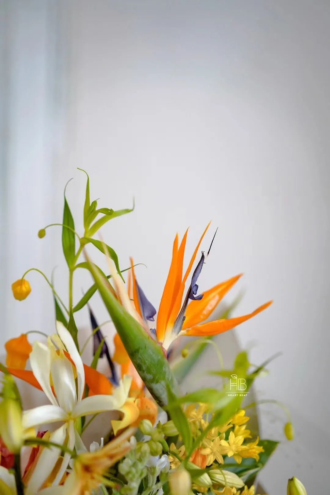 家里要有氛围感什么花比较好,家里高级的花