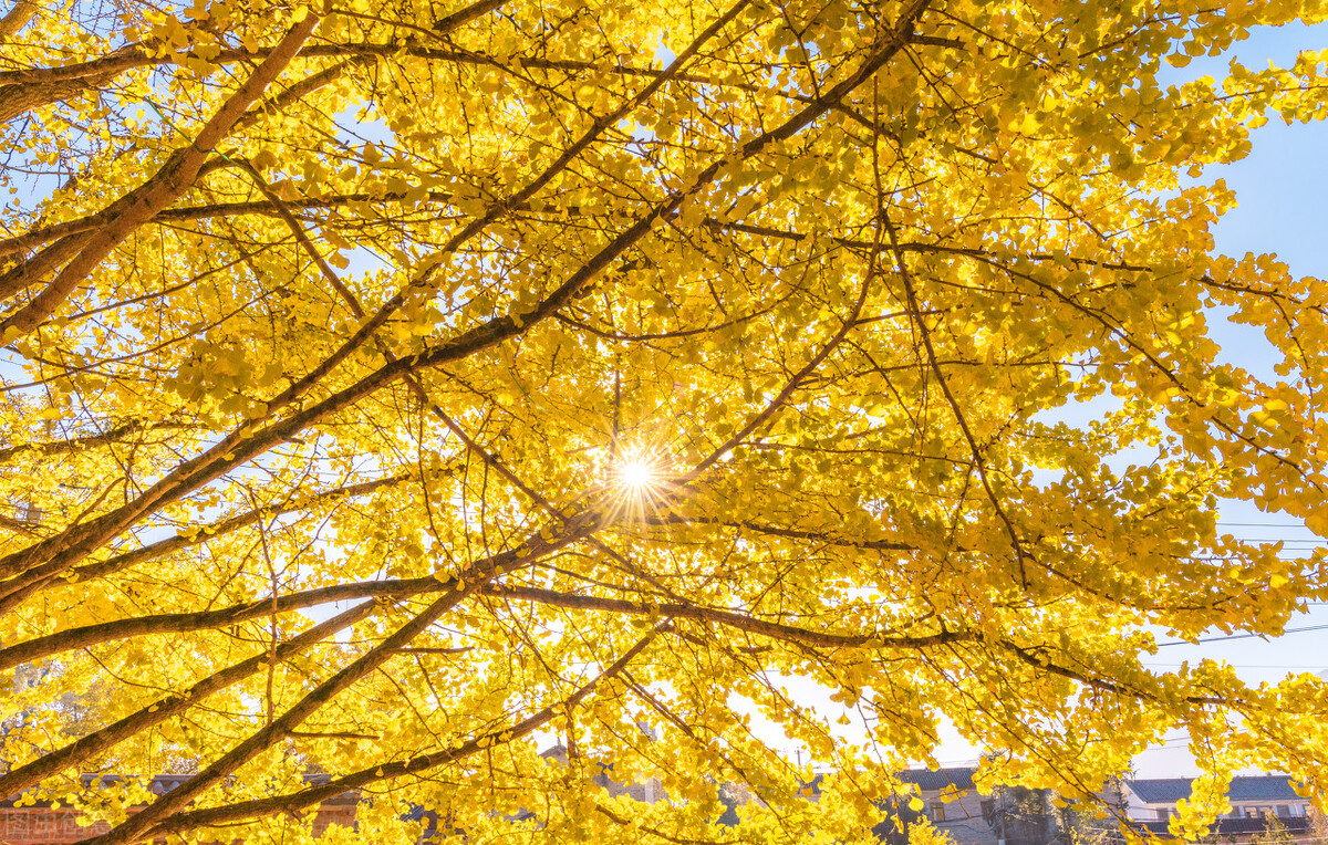 带你看遍云南的美景,风景绝美的云南小众目的地