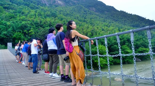 福鼎旅游数据,福鼎纪录片