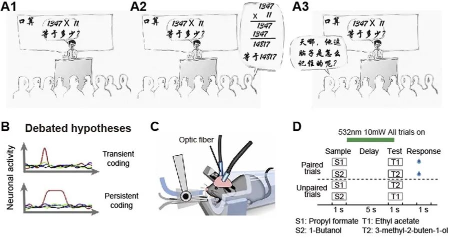 中科院神经所好不好,中科院神经所复试
