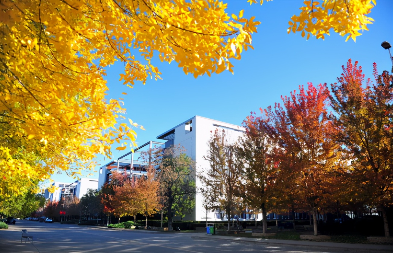 天津财经大学2004年录取名单,天津财经大学近几年2020录取分数