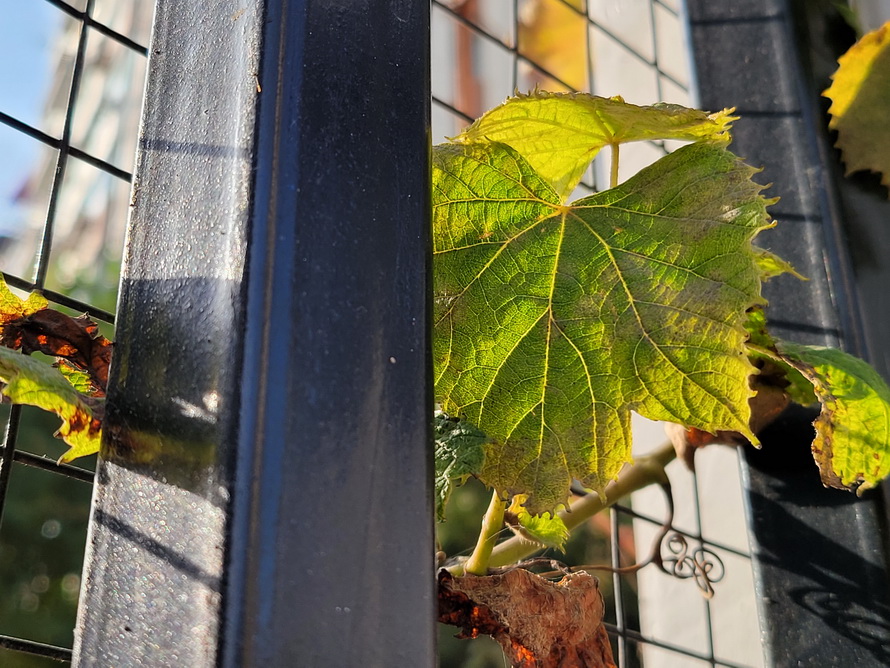 三星W215G评测：双卡双待双屏幕一切为商务而生