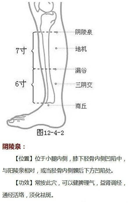 祛斑的最佳穴位示意图,按摩哪个穴位祛斑背部