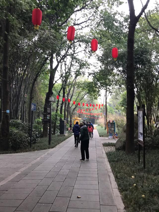 成都望江楼公园简介,成都望江楼公园要门票吗