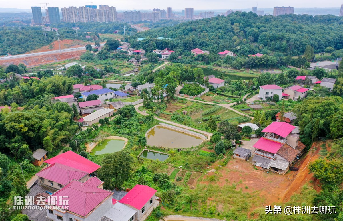 株洲哪里有好玩的度假山庄,株洲田园山庄