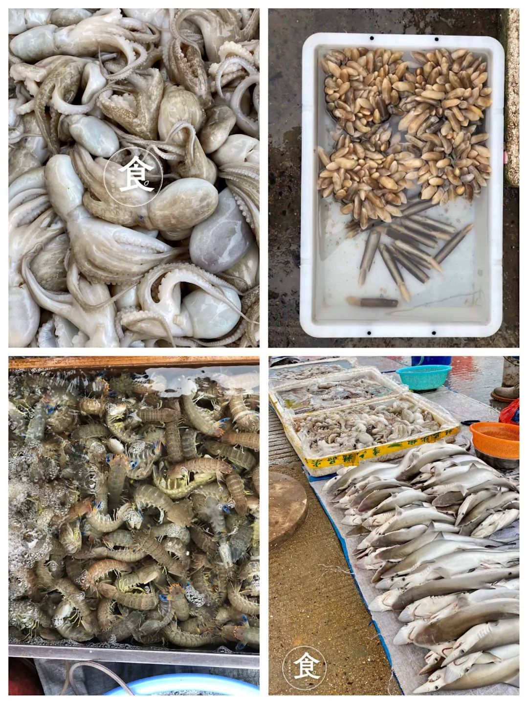 钦州最便宜的海鲜市场,钦州海鲜哪里最便宜