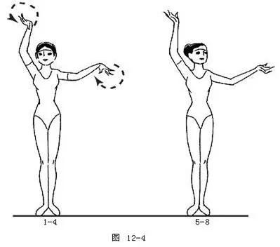 舞蹈基本动作之字步,舞蹈步位基础知识