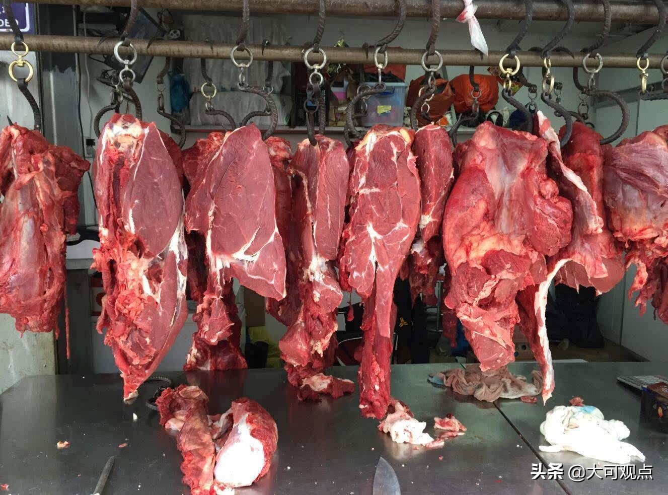 牦牛肉怎么做才好吃？从牛头吃到牛尾