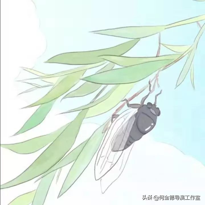 一位女大学生的家教心得：《我的家教之路与一些小建议》