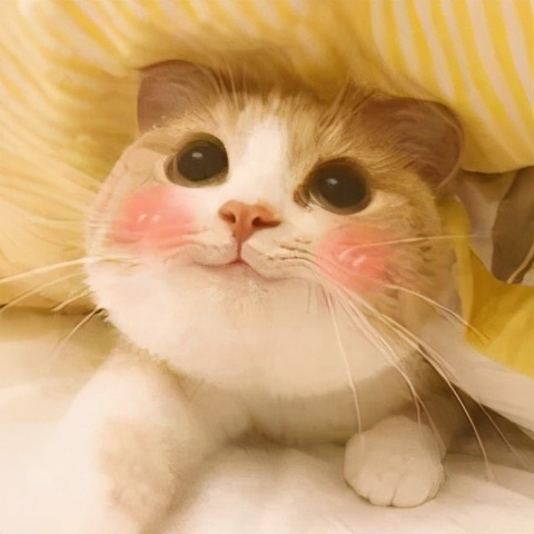 怎么样才能让皮肤光滑细腻又白嫩,如何保养出白嫩自然发光的皮肤