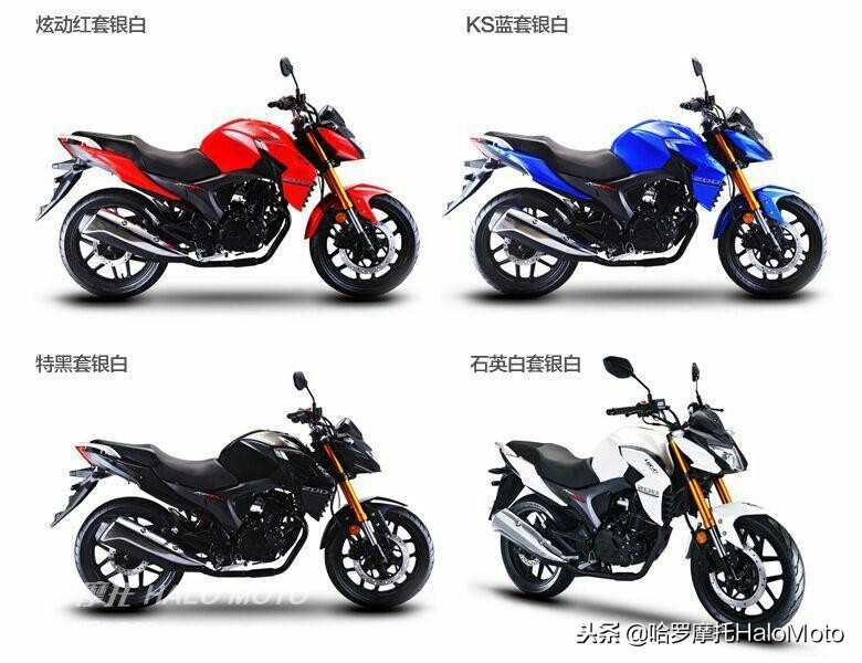 哈啰车评,哈罗评车20期