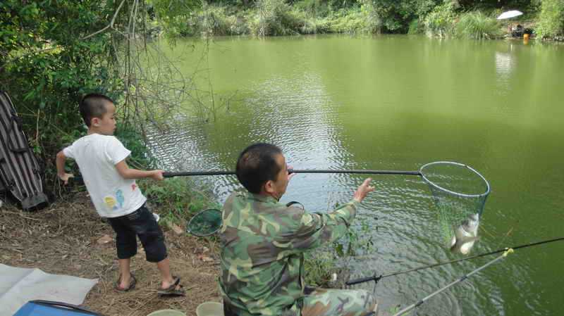 钓鱼的乐趣诗词,钓鱼之乐趣