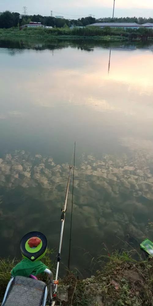 本汀财神鲫竿,本汀财神鲫完整版