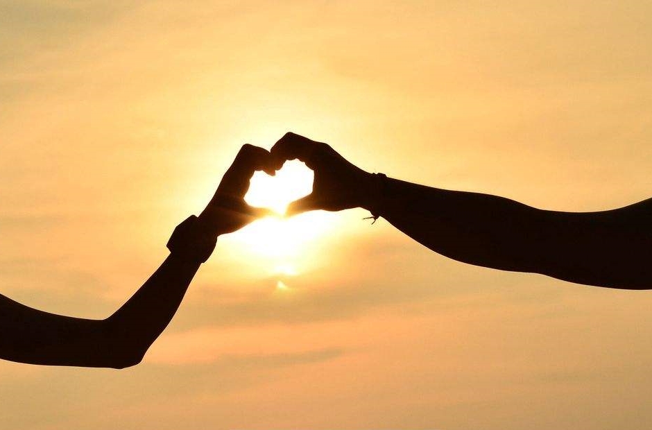 白茶清欢感恩遇见,白茶清欢山东