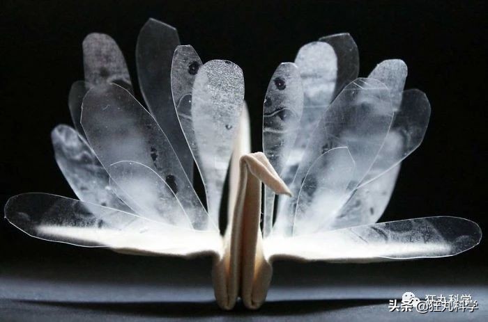 10种纸鹤折法,一天折50个千纸鹤