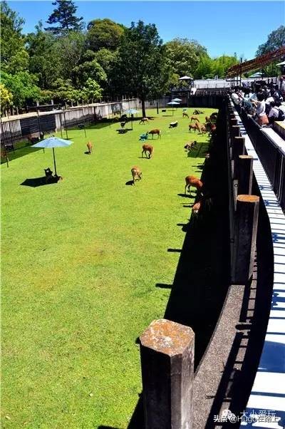 日本东京新宿亲子游自由行攻略,日本亲子游走关东还是关西