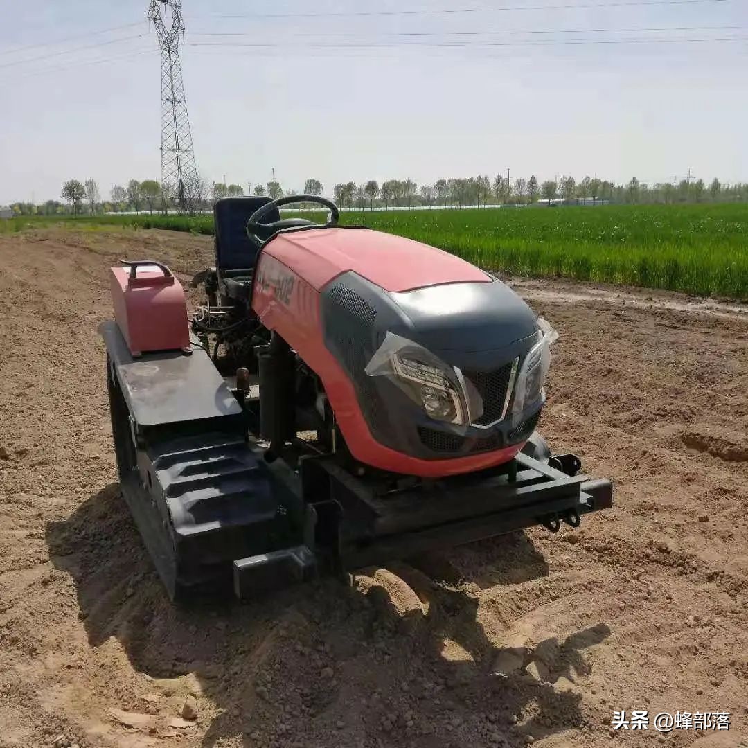 农村10万投资什么项目最赚钱,农村现在什么行业前景好最赚钱的