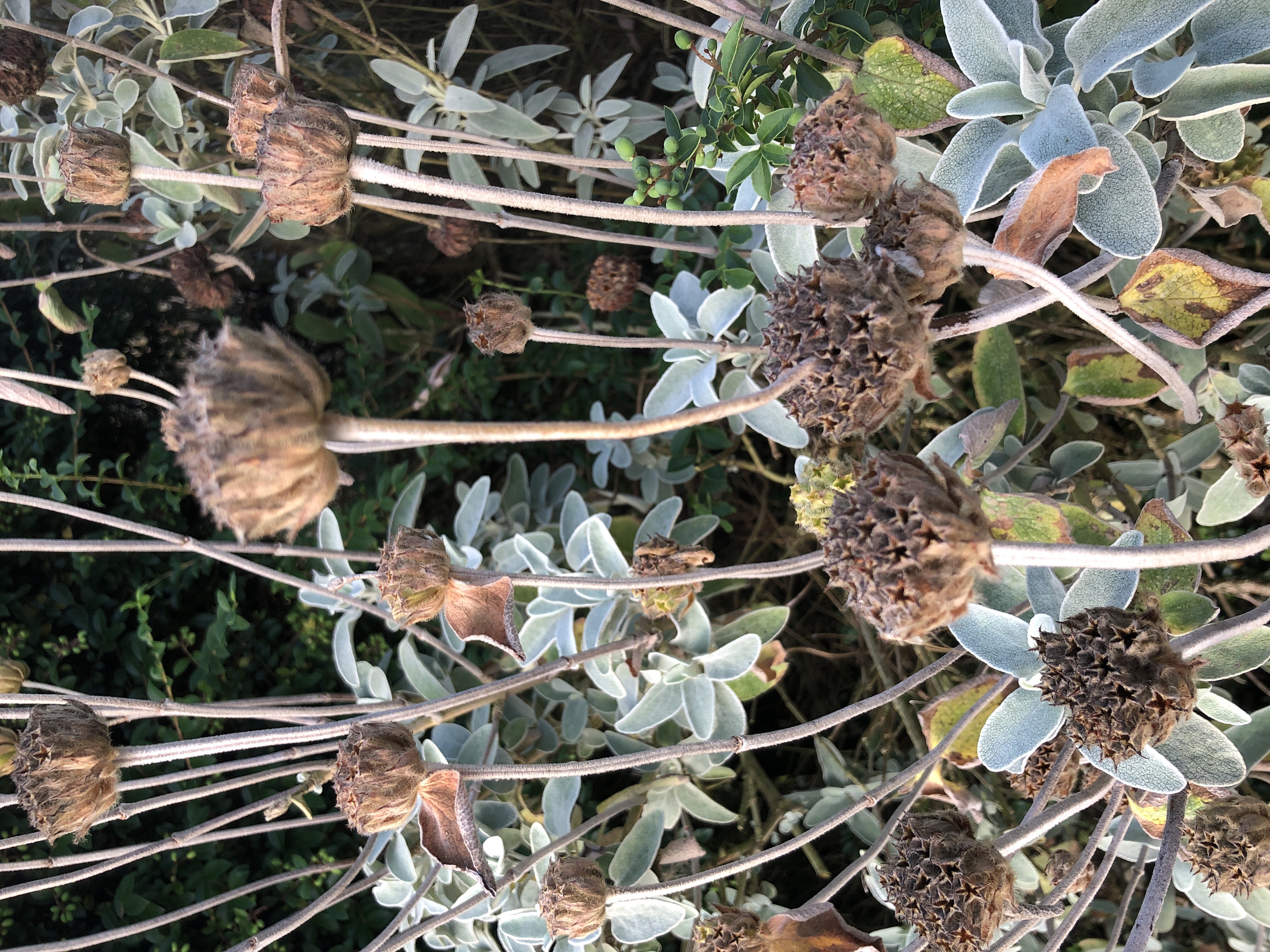 英国12日旅游的行程,英国深度游跟团6日