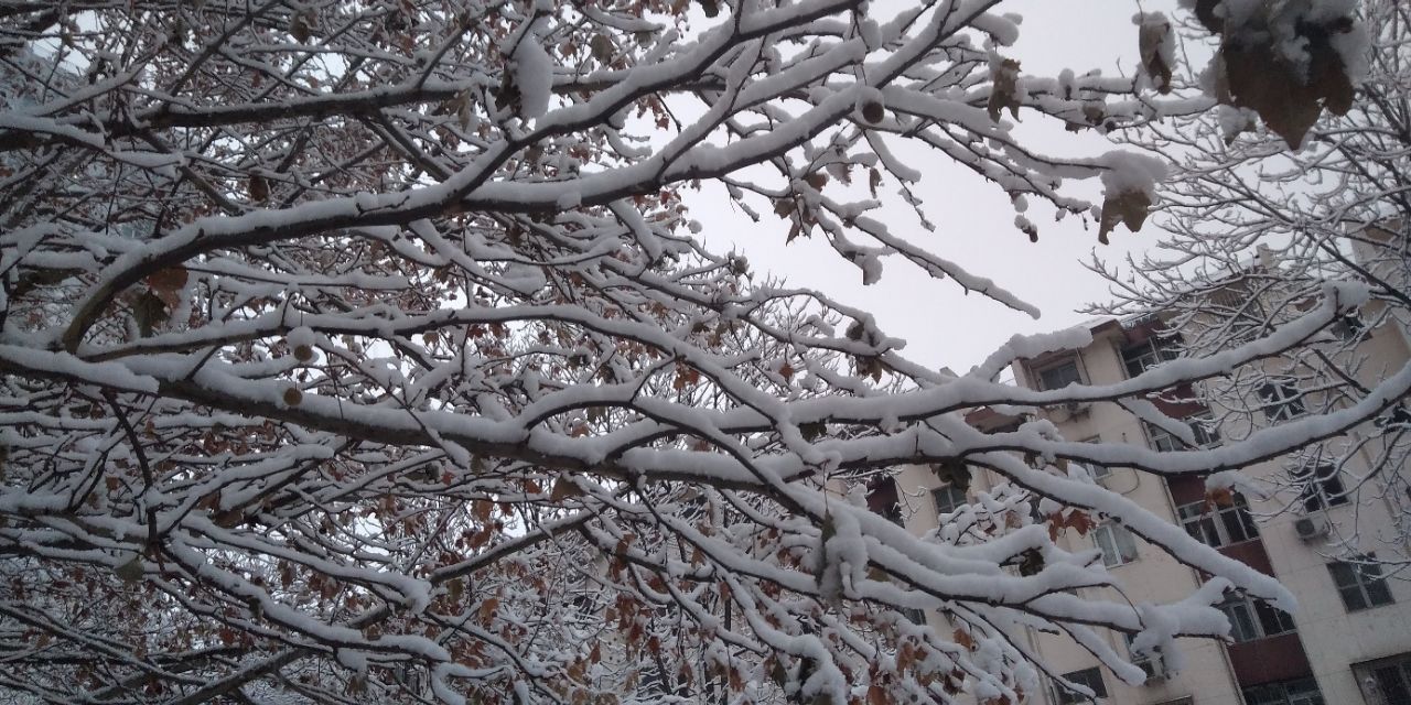 小文好就业吗,小文梦想成真