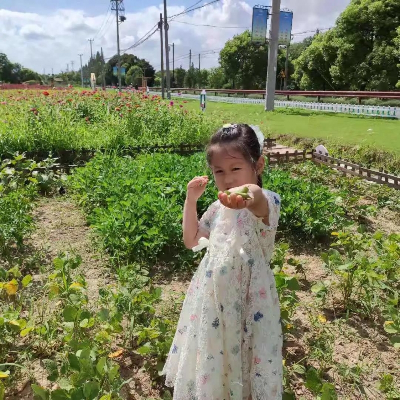 久居城市就会向往乡村的田园生活,向往的田园生活的感悟