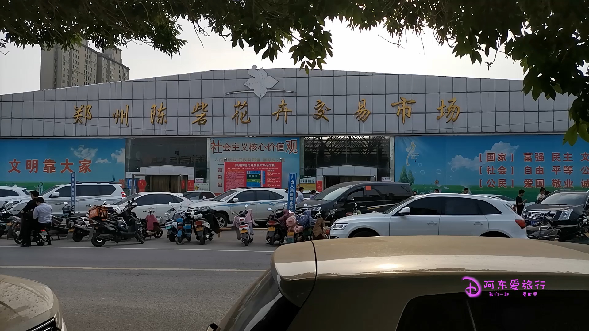 陈砦花卉交易市场，一个神奇的地方，里面不止卖花，逛了一整天！