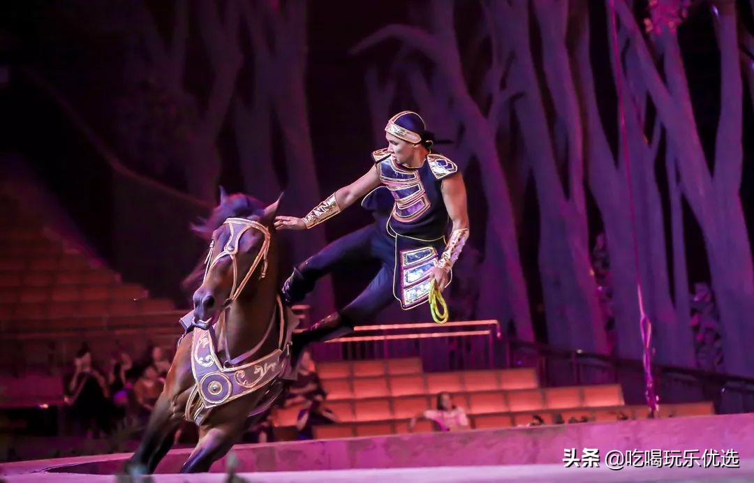 厦门灵玲动物王国大熊猫,厦门马戏团灵玲动物王国观光游览