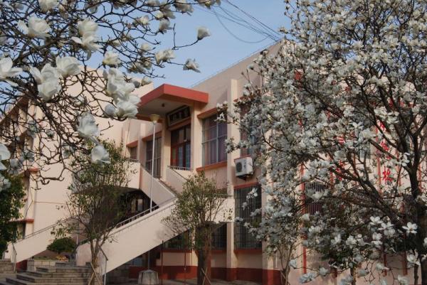 费县哪个学校好,费县全日制学校哪家好