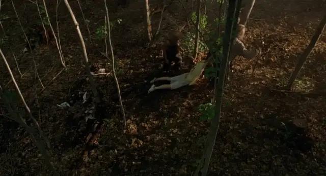 时隔18年的重启，《致命弯道》还香吗？