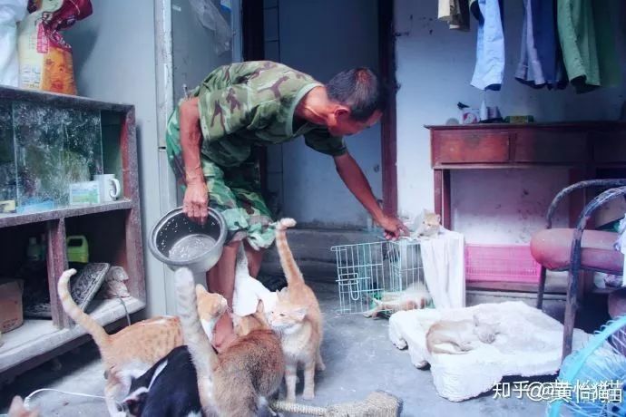 淘宝一斤猫粮多少钱,淘宝猫粮什么牌子好又便宜