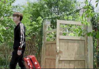 向往的生活任嘉伦谭松韵许魏洲,向往的生活任嘉伦掉河里了