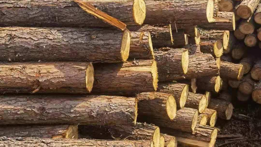 武汉防腐木地板价格,武汉防腐木批发报价