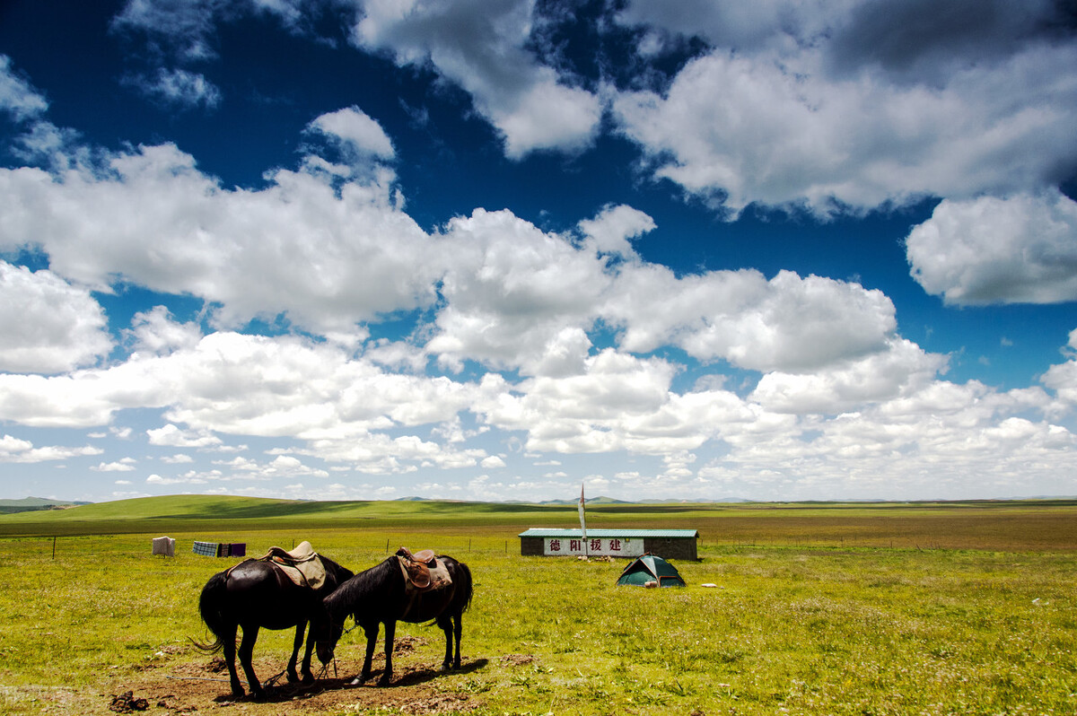 中国最值得去的100个草原,全国六大最美的草原