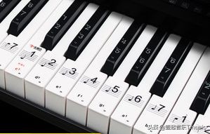 有没有一种软件可以自己写歌,怎么智能写歌