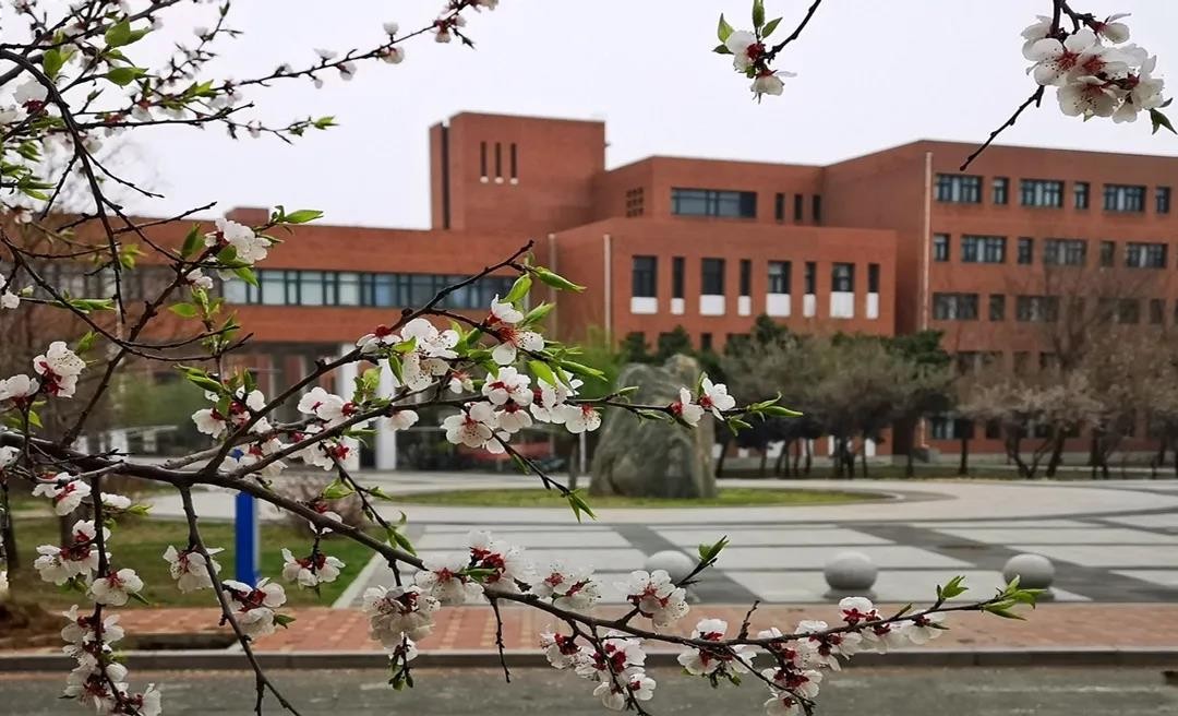 2021月收入最高的专业揭晓！这所大学10个专业强势上榜！