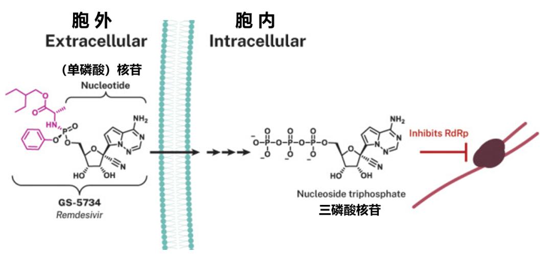 吉利德传奇：“人民的希望”如何面对历史的考验