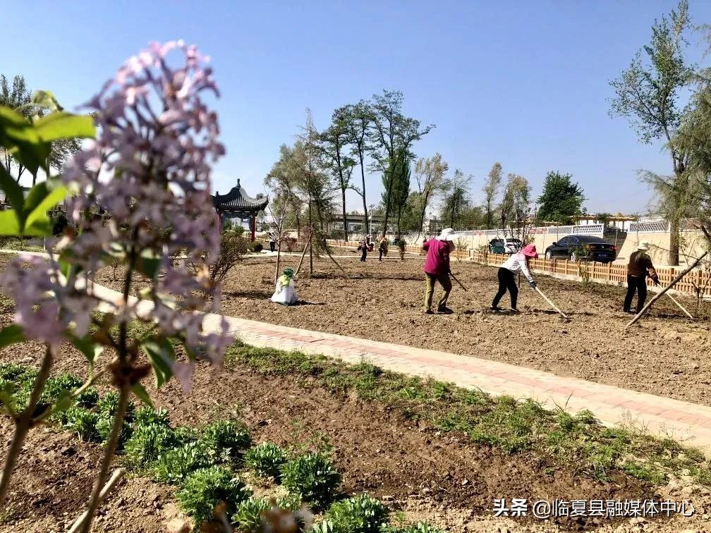 【乡村振兴】临夏县土桥镇：依托区位优势稳步推进乡村振兴