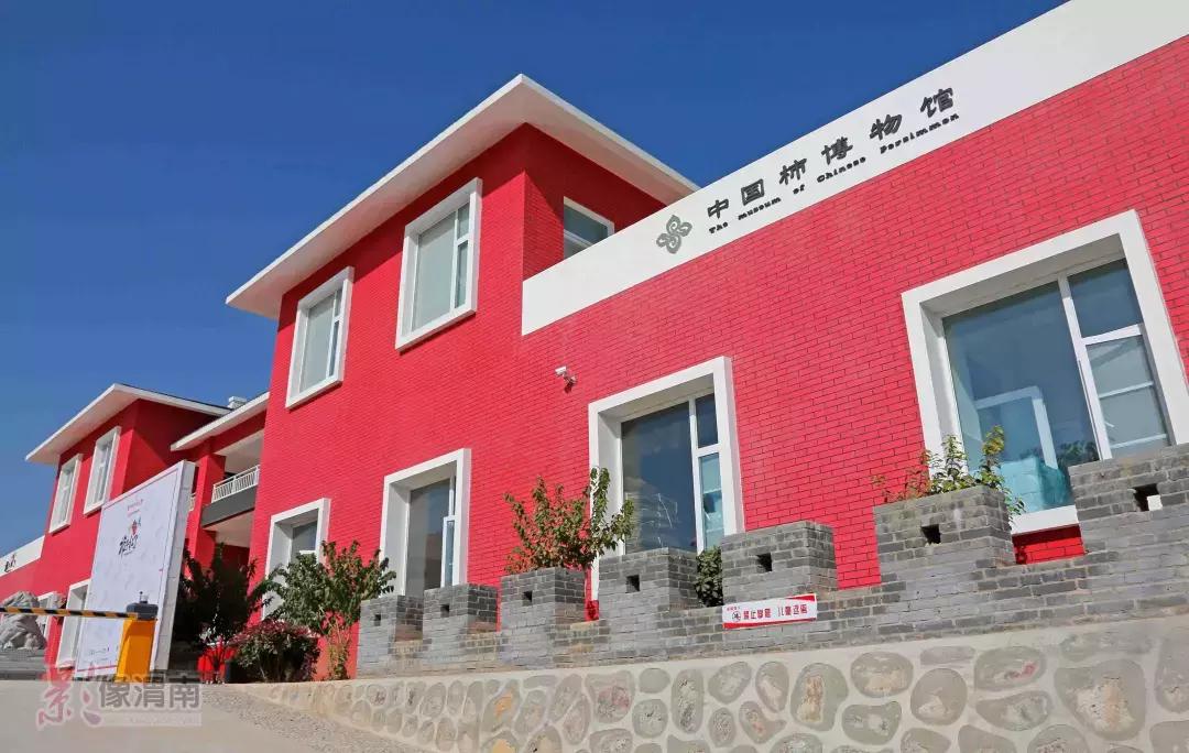 年产值近20亿，主题电视剧在央视播出……富平柿饼凭啥这么火？