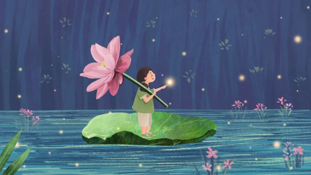 描写荷花的作文300字三年级的,关于荷花积累好词好句