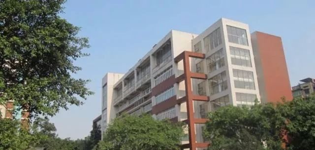 重庆九龙坡区优质初中,重庆市九龙坡区中学推荐