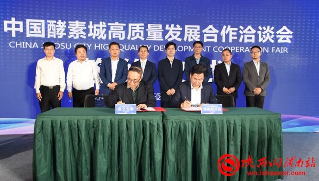 中国酵素城核心区,中国酵素城规划