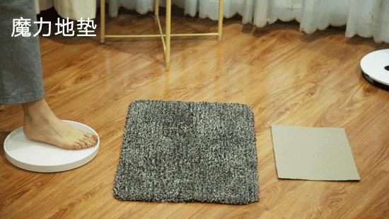 神奇的虎皮地毯,神奇宝贝的地毯